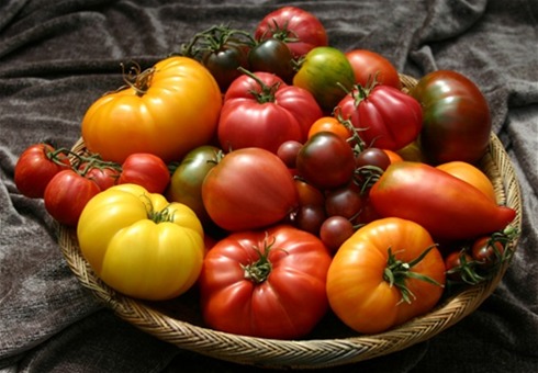 Почему не пахнут помидоры: что продают на латвийских прилавках